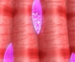 Single-Molecule Cellular Biophysics