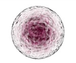 Stem cell vaccine helps protect mice against numerous cancers, finds study