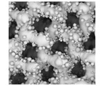 Applications of SEM in Biomedical Research