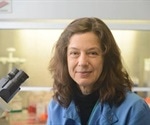 Modifying Oncolytic Adenoviruses to Target Pancreatic Cancer