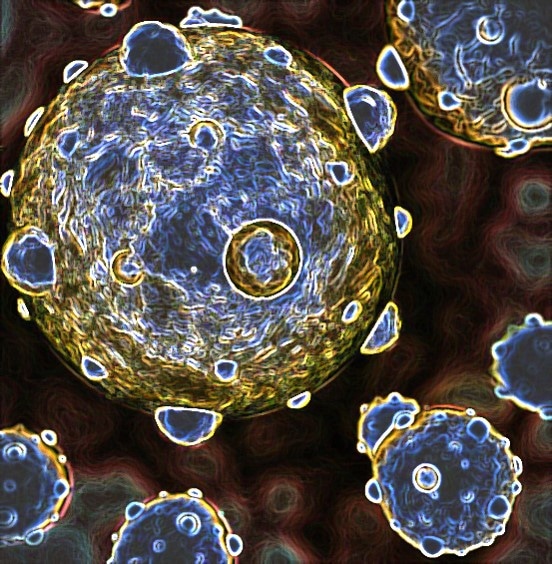 FFF-MALS-DLS analysis of exosomes Exosomes