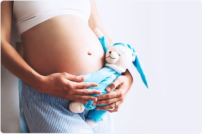 Image Credit: Natalia Deriabina / Shutterstock