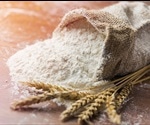 What is Gluten?