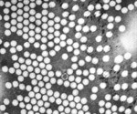 Poliovirus Structure