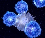 Functions of MHC in the Immune System
