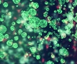 Regulatory T Cells and Cancer
