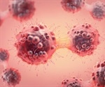 Functions of BRCA1/2 Gene Products