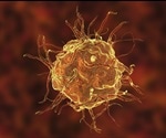 Macrophages stimulated to produce potent anti-inflammatory molecule