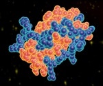 Leptin Signal Pathway