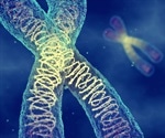 Mechanisms of DNA Repair