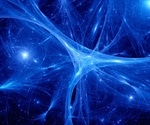 Glucose metabolism is key to neural network development, finds study