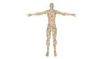 Using Microbiome Analysis for Crime Scene Investigation
