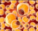 Lipid Peroxidation