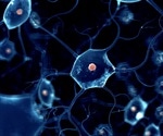 Aberrant protein prevents self-cleaning of nerve cells in ALS