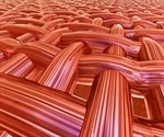 Actomyosin in Muscle Contraction