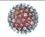 What is Antigenic Shift?