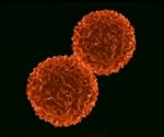 Scientists make important discovery about cellular reprogramming