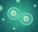 The Mechanism of DNA Damage by UV Radiation