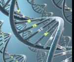 Interactions That Hold DNA Together