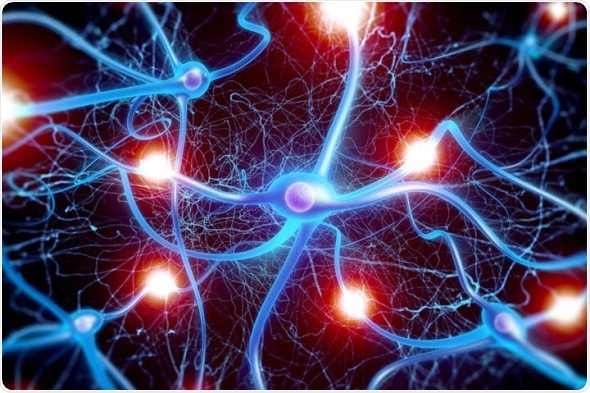 Neurology