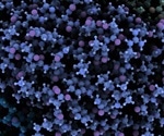 Surface Localized Antimicrobial Display Overview