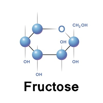 Fructose Fructose