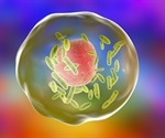 Bacterium that causes Q fever associated with increased risk of lymphoma