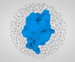 Types of Protein Post-Translational Modification