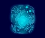Alpha Peptide Foldamers