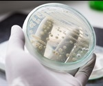 Using Electroporation to Transform Bacteria, Yeast and Plant Protoplasts