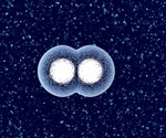 Bioprinting: An Overview