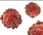 The Process of Angiogenesis