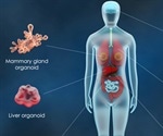 Organoid Production Methodology