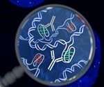 The i-motif in DNA
