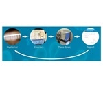 Antibody Sequencing