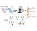 A Novel Way to Expedite Antibody Discovery with the Sartorius Mouse IgG Type and Titer Assay Kit