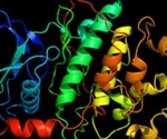 What is CDK9?