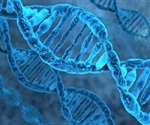 Single Nucleotide Polymorphisms and Prostate Cancer