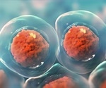 Protecting Groups of Oligosaccharides