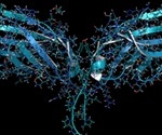 Cytotoxic T-Lymphocyte-Associated Protein 4 (CTLA-4)