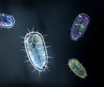 Cloning Unicellular Organisms