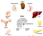 Pediatric Endocrinologist