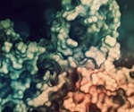 Programmed Cell Death Protein 1 (PD1) and Cancer