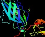 CTLA-4 and Cancer