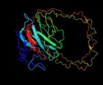 What are Chaperone Proteins?