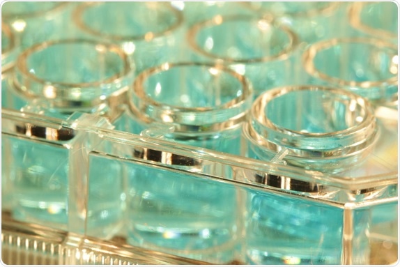 Laboratory microplate ready for spectroscopy reading. Image Credit: Schlyx / Shutterstock Laboratory microplate ready for spectroscopy reading. Image Credit: Schlyx / Shutterstock