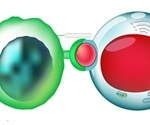 What are Natural Killer Cells?