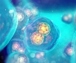 What is Proteostasis?
