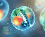 What Are Cyclins?