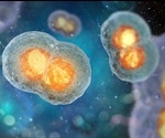 Proteostasis and Aging